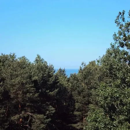Sunny Flat 250m From The